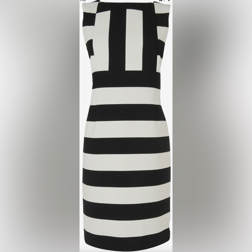 Jaeger Striped Dress - Picture 5 of 17